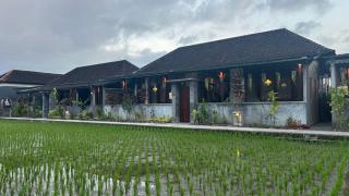 Ketut's Place Penestanan Ubud - 7