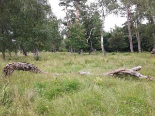 14 person holiday home in Idestrup - 6