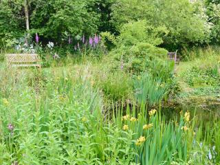 Bergerac Cottage - 9