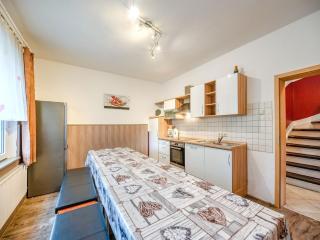 Spacious Villa near Center - 3