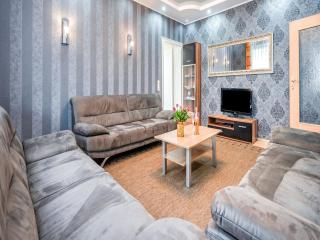 Spacious Villa near Center - 9