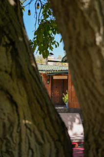 Forest Cottages Hotel EVN - 0