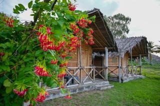 Hampi Firangi Cafe - 1