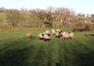 3 Bed Farmhouse - Sleeps 6 - Wifi - Parking - 4