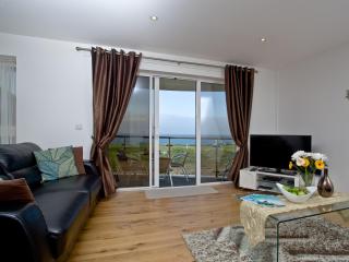 Fistral View At Bredon Court - 4