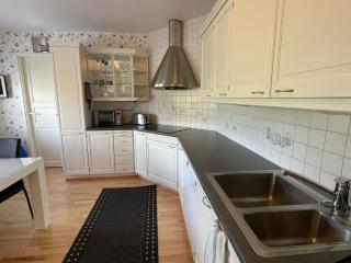 Villa Aleksanteri, a spacious detached house in Lapland - 1