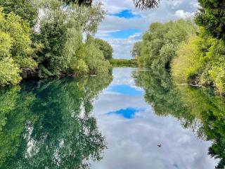 Shirley's Haven - Uk46631 - 3