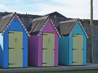 Marwhin Cottage - Swws - Kirkpatrick Durham - 1