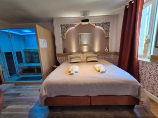 Suite Luxe Spa Balneo Sauna Hammam Projecteur - Serrières - 3