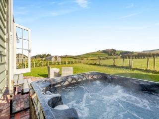 Sunflower - Uk42360 - 8