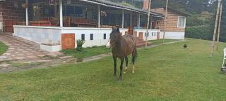 Las Jodelinas - 8