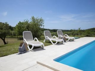 Elegant Villa with Private Pool - 3