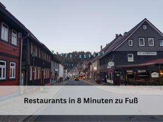 FeWo Sonnen-Domizil Altenau für 5Pers - 1