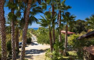 Two-Bedroom Holiday Home In Smaria Di Ricadi -Vv- - 5