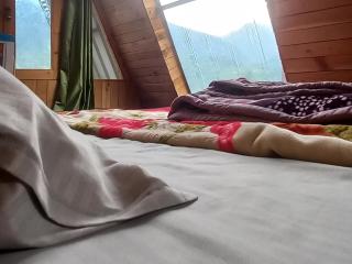 Skytouch cottage stargazing - 5