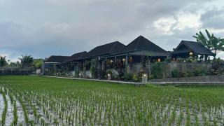 Ketut's Place Penestanan Ubud - 4
