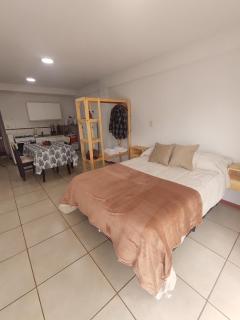 Monoambiente Montevideo - 1