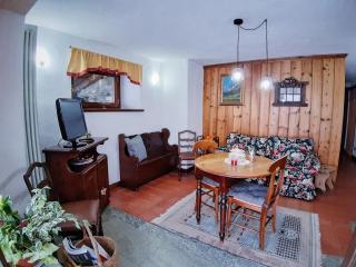 We are 4810 Petit coin Courmayeur - 7