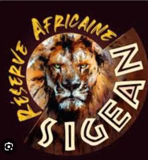 Appartement confort accès direct plage - 2