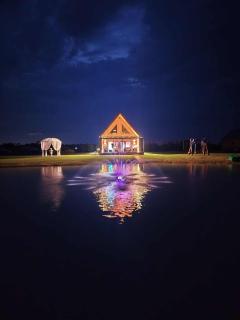 Baltasis beržas - 0