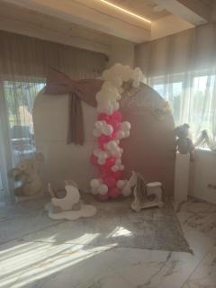 Baltasis beržas - 6