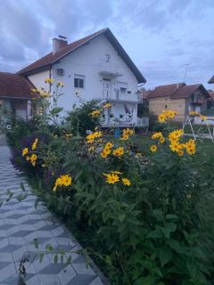 Nevade apartman - 8