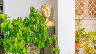 Casa Bella vista - 2