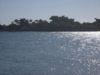 Negril Ocean View Apartment - 6