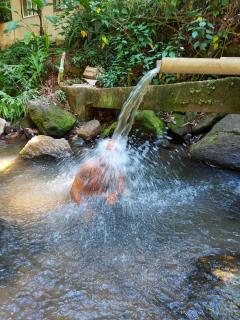 Camping São Conrado com cachoeira exclusiva, perto da praia e da Pedra Bonita - 7