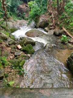 Camping São Conrado com cachoeira exclusiva, perto da praia e da Pedra Bonita - 3