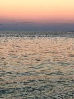 Anna Maria Island-Blue Manatee - 1