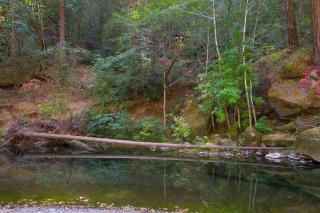 Sequoia Beach Dreamery - 6