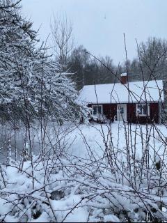 Villa Apple Garden - 8