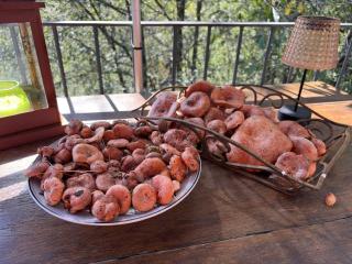 Els Pins d'Abella - 9