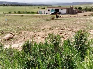 Grandpa's Farm ضيعة جدّي - 3