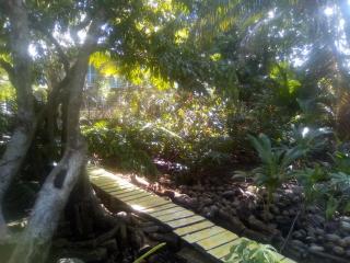 casa de huéspedes selvatica - 9