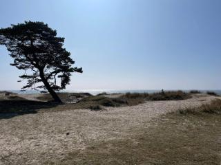 5 star holiday home in YSTAD - 3