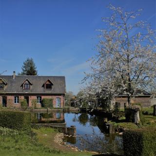 Gite Caillebourg Normandie - 9