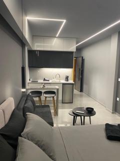 Crystal Grey Elite Apartment 2 - 8