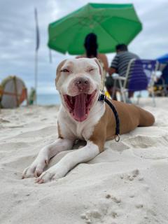 Edificio Daniela Ap 102 - 5