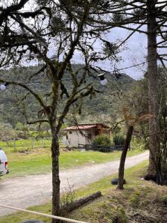 Cabanas Quatro Irmãos - Nó de Pinho - 3