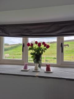 Luxury Peak District Stone Barn With Horses - Dog Friendly - Near Chatsworth, Bakewell, Alton Towers - 4