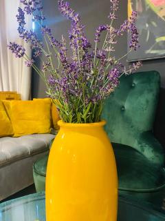 Rooms & Apartment ZALA - 9