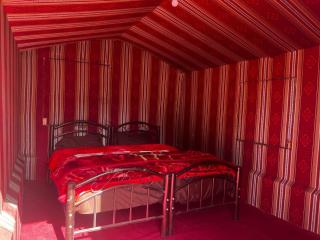 Stars Night Camp - 1