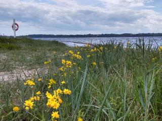 5 star holiday home in Aabenraa - 3