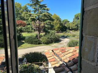 Le Bois de Montpouillan - 4