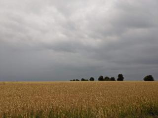 Panoramic Retreat in Borgnaes - By Traum Ferienwohnungen - 3
