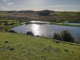 6 person holiday home in Skals-By Traum - 1