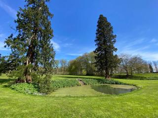 Well-maintained holiday home in Faborg - 4