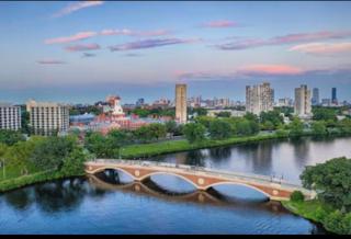 Spacious 2 Bedroom 2 Bathroom Condo with Balcony Pool Gym and Parking in Cambridge - 4